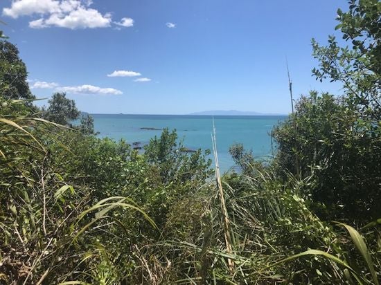 201 Howard Road, Orere Point - Carousel 2
