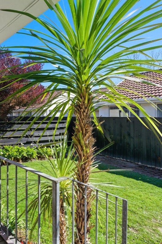 1/4 Broadbent Street, Riccarton, Christchurch - Carousel 2
