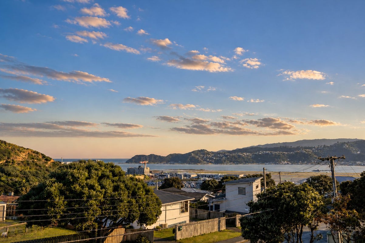 3 Taiaroa Street, Strathmore Park, Wellington - Carousel 2