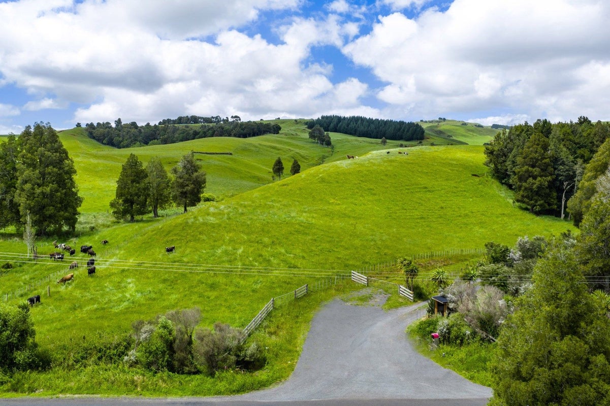 467A Te Mata Road, Raglan - Carousel 2