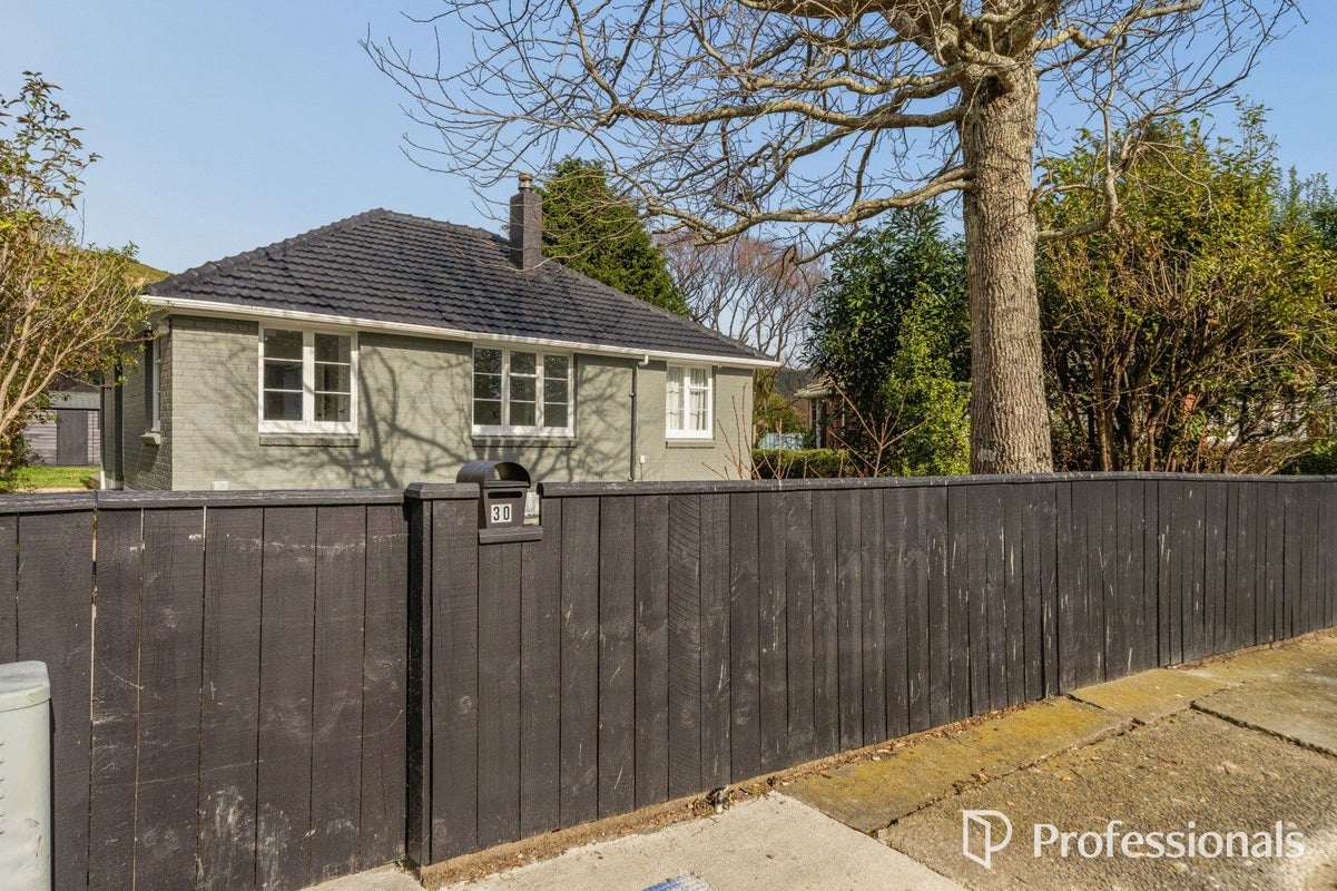 30 Harris Street, Naenae, Lower Hutt, Wellington - Carousel 17