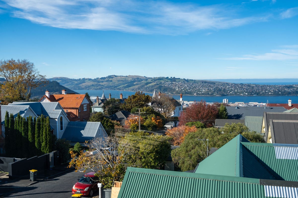 23 Fifield Street, Roslyn, Dunedin - Carousel 37