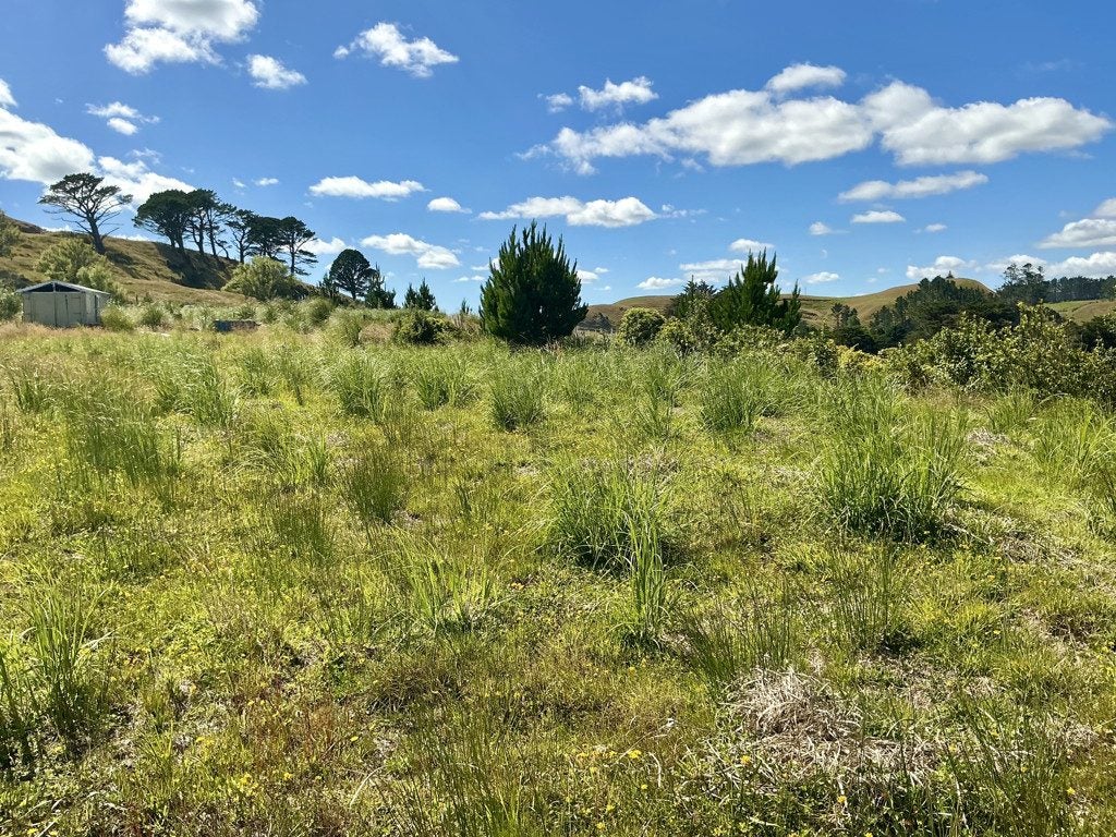 1391 Kaipara Hills Road, Kaipara Flats, Warkworth - Carousel 2