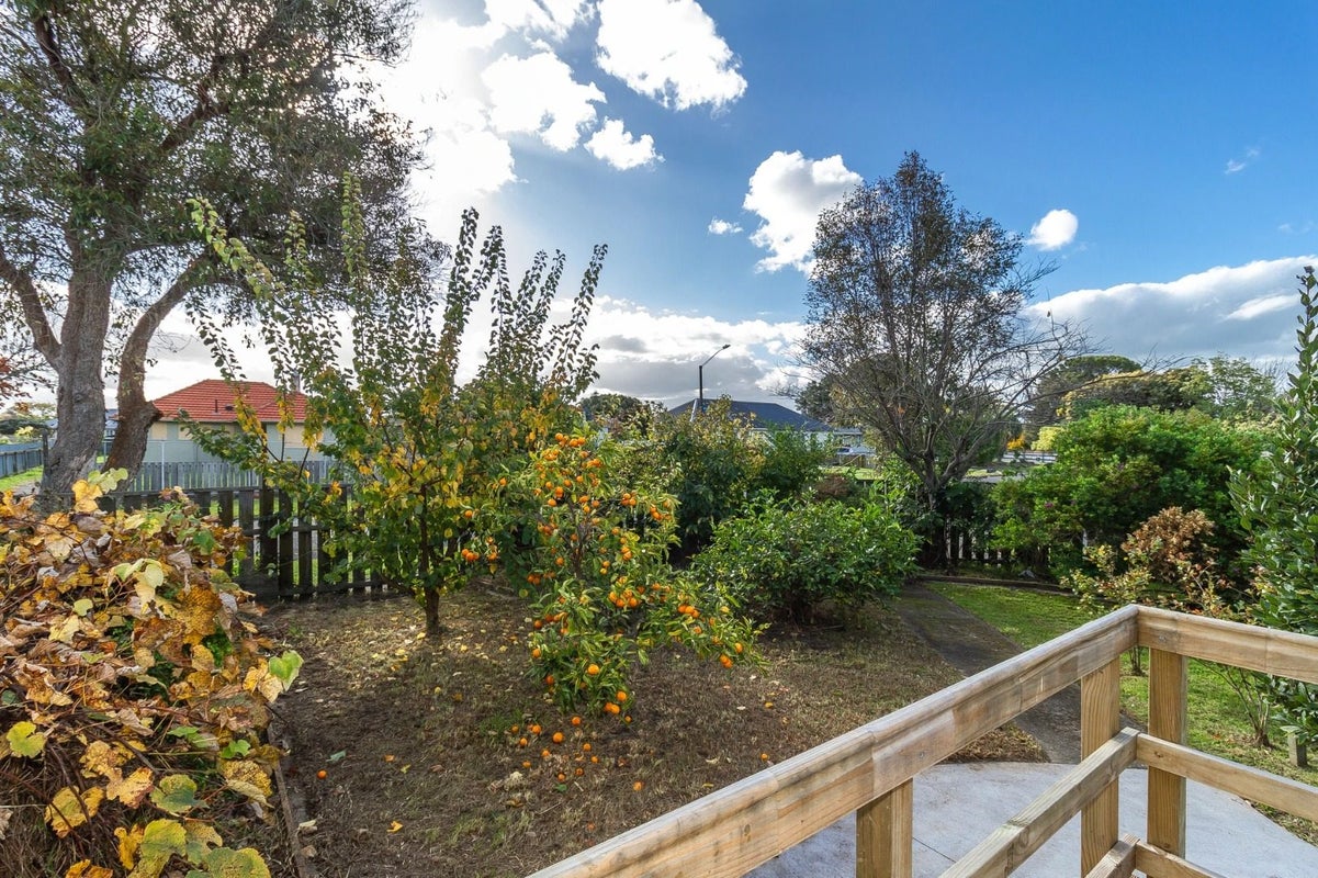 15 Williams Street, Marewa, Napier - Carousel 15