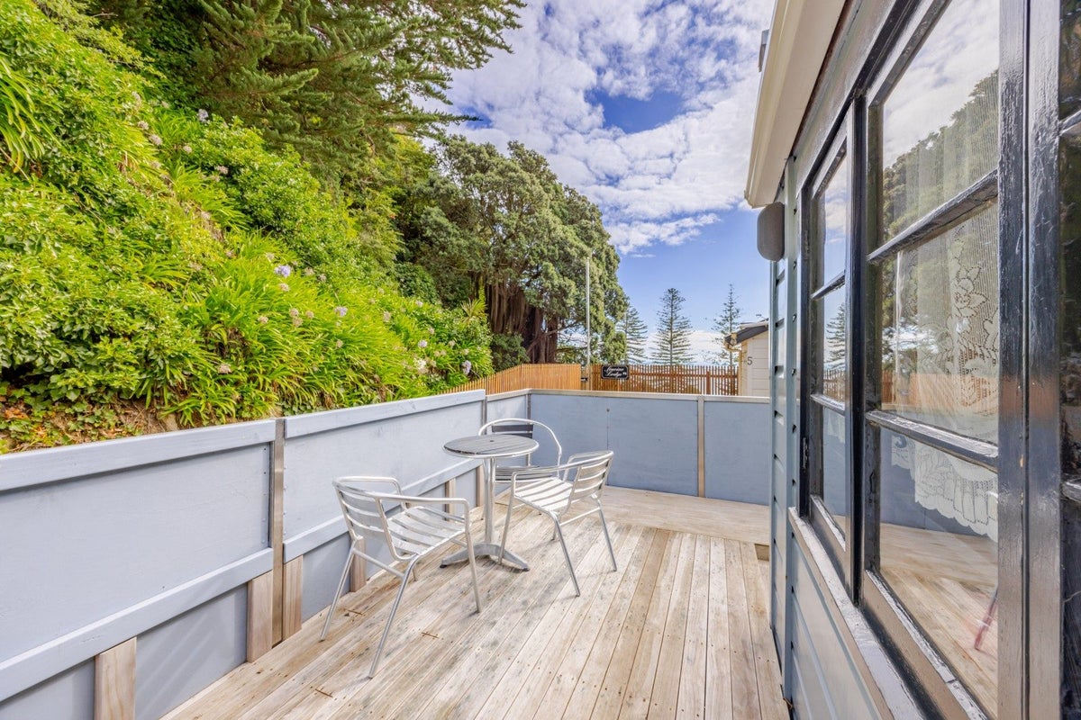 4A Seaview Terrace, Bluff Hill, Napier - Carousel 39