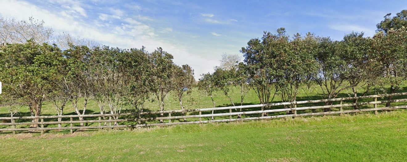 215 Nixon Road, Taupaki, Henderson - Carousel 2