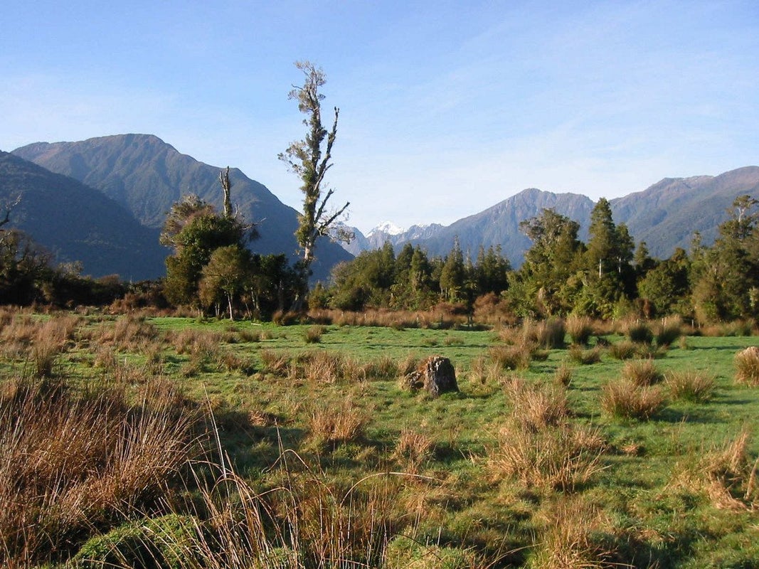0 Bruce Bay, Bruce Bay, Haast - Carousel 2
