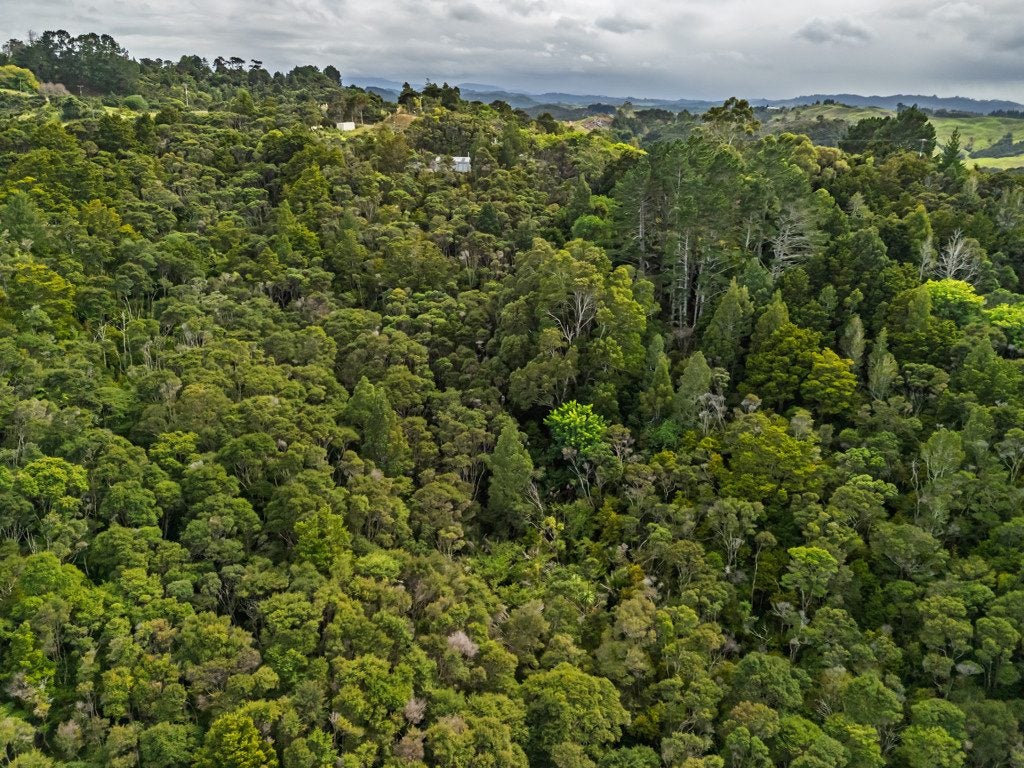 191 Opara Road, Oue, Kaikohe - Carousel 34