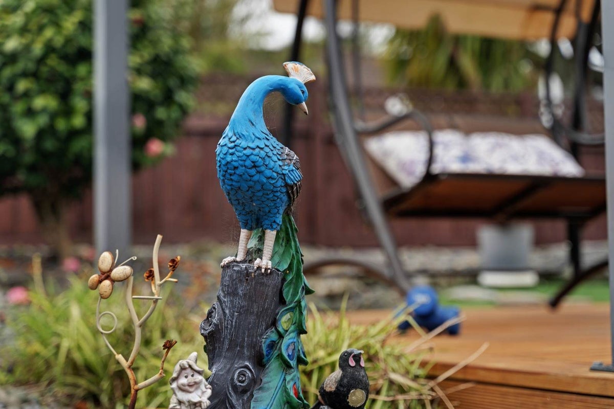 41 Clydesdale Avenue, Somerville, Manukau - Carousel 2