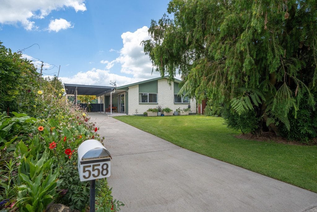 558 Picquet Hill Road, Te Awamutu, Te Awamutu - Carousel 2