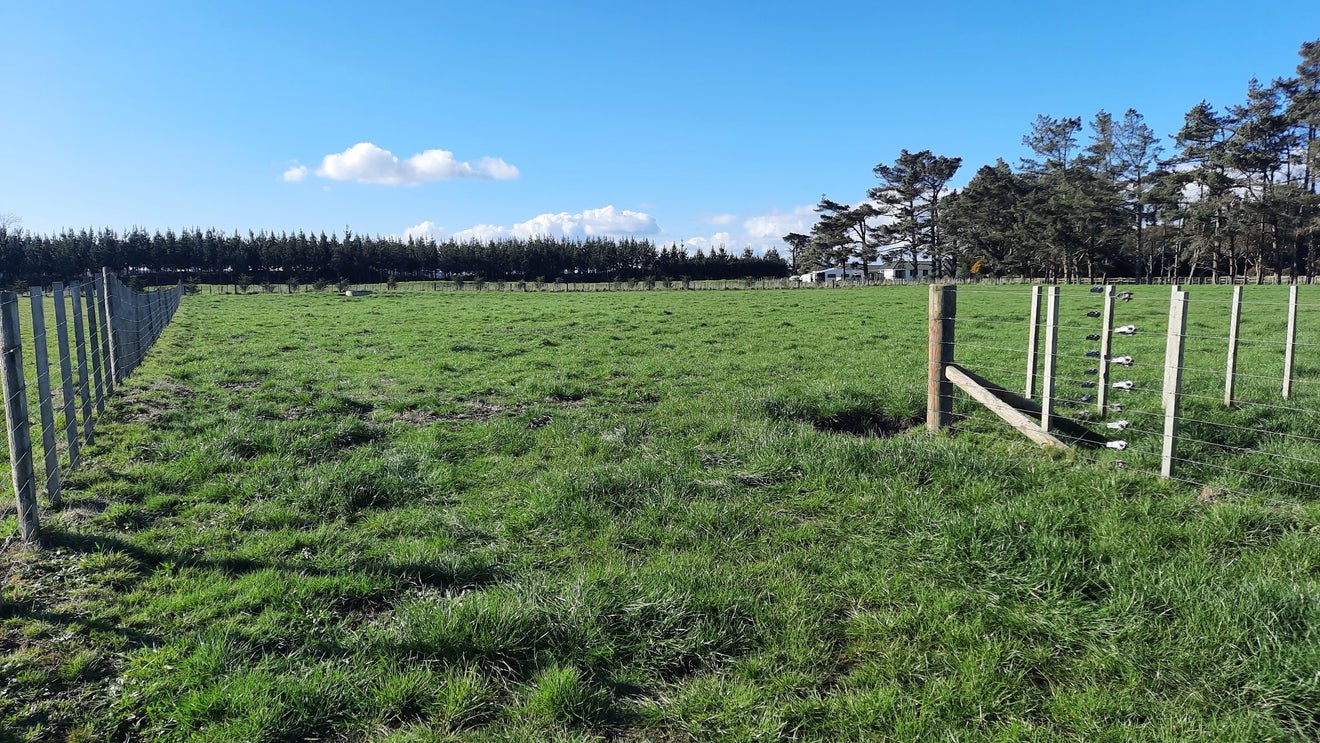 157 Motuiti Road, Foxton, Foxton - Carousel 9