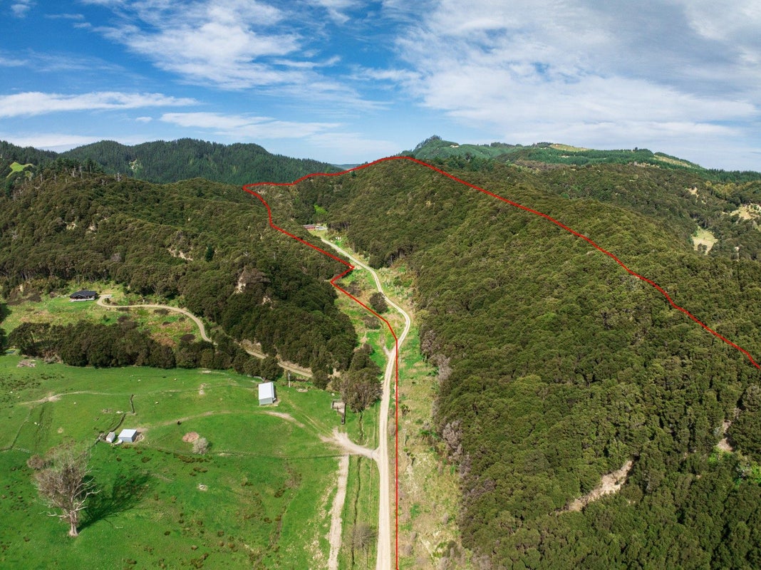 406 Matokitoki Valley Road, Matokitoki, Gisborne - Carousel 33