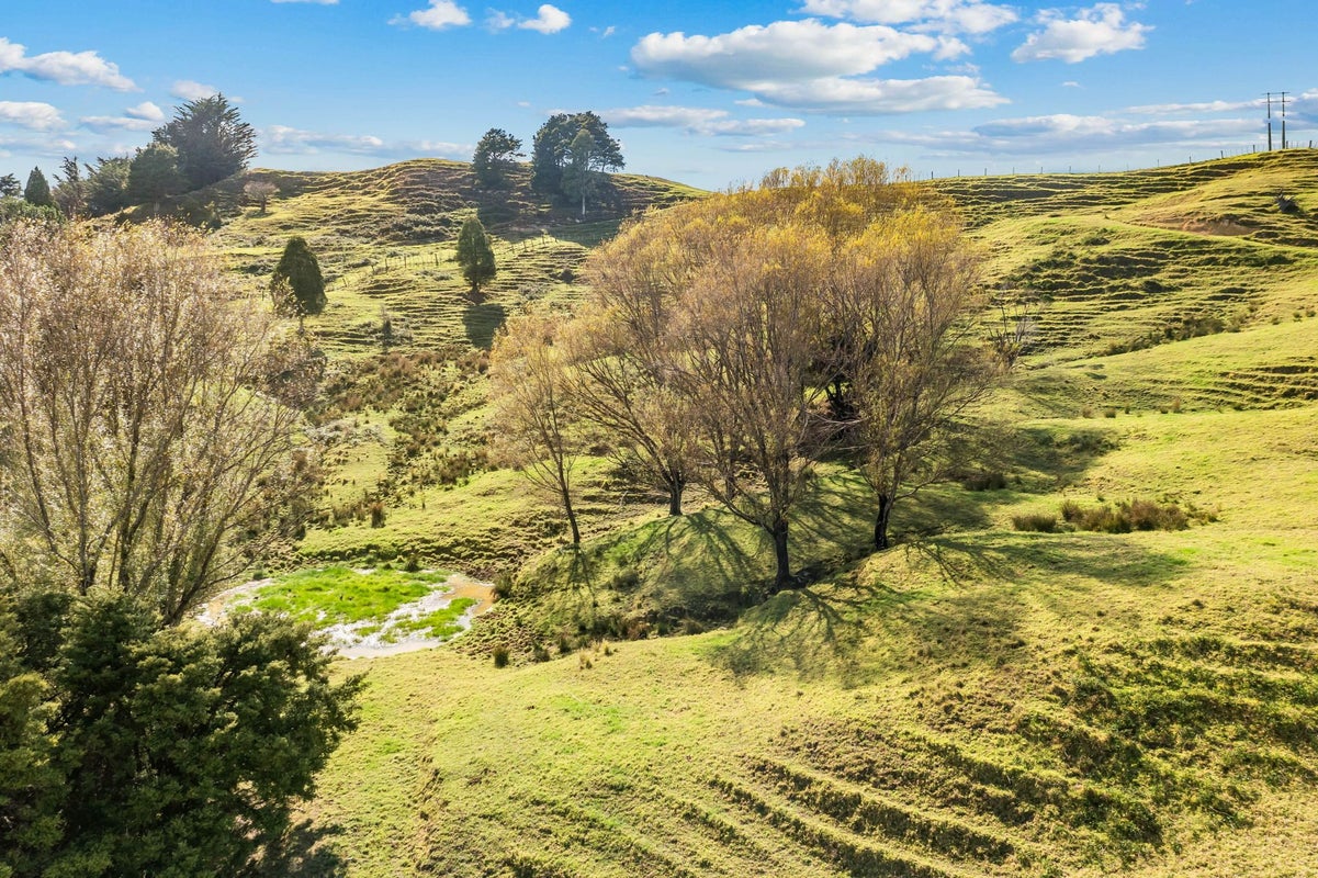 1350 State Highway 12, Oue, Kaikohe - Carousel 41