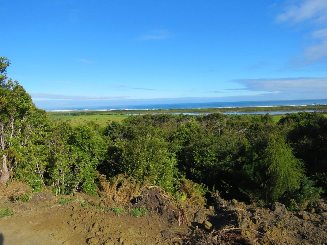 207 Tanglefern Row, Virgin Flat, Cape Foulwind - Carousel 1