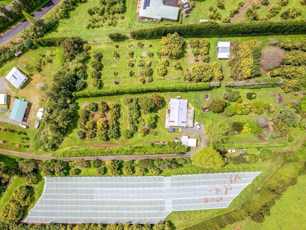 6 Killen Road, Tahawai, Katikati - Carousel 16