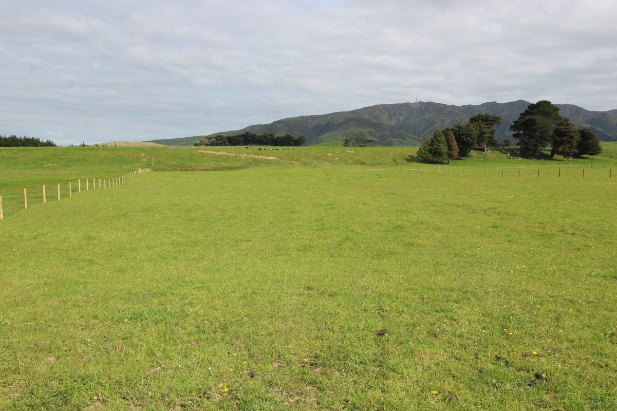 619 Pinfold Road, Papatawa, Woodville - Carousel 4