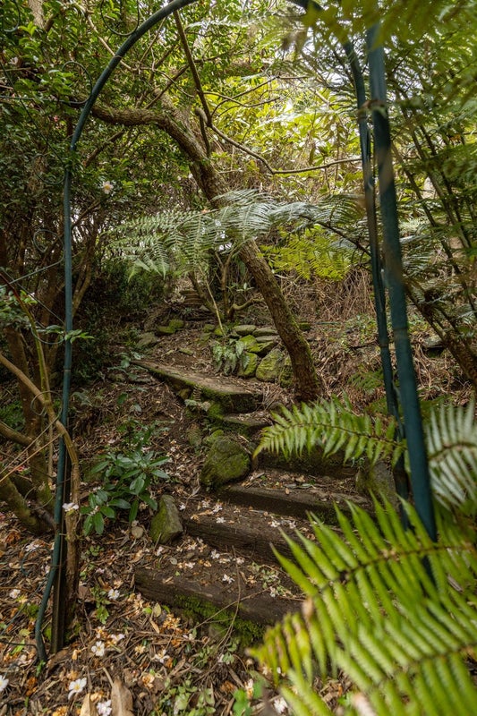 420 Wakamarina Road, Canvastown - Carousel 29