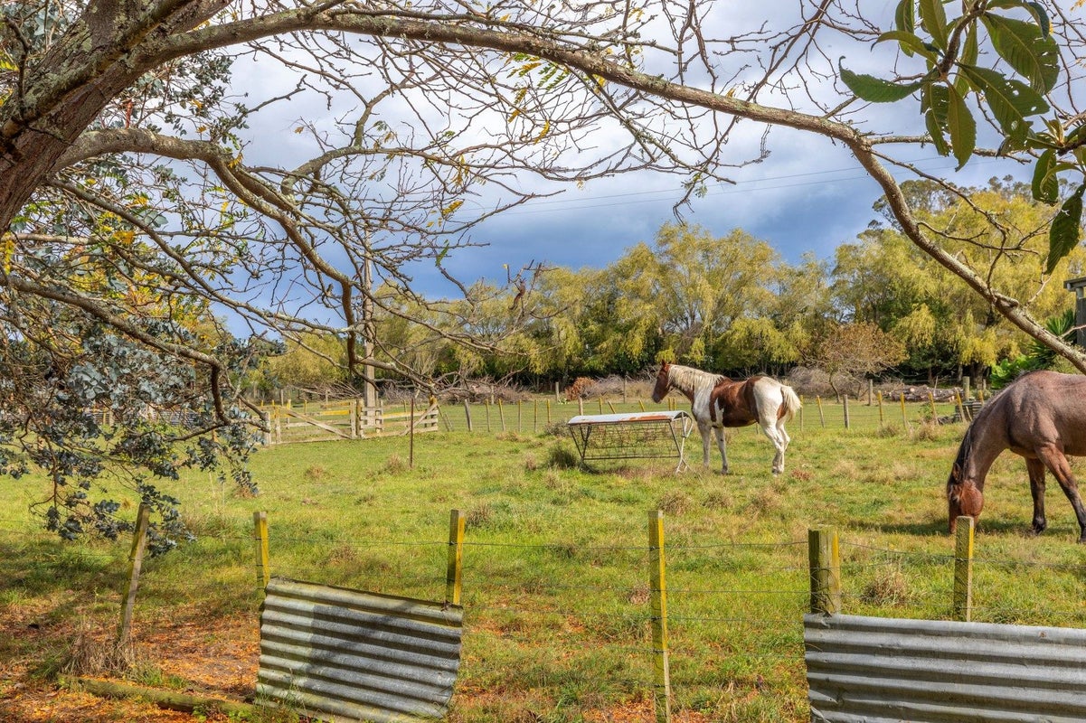 2379 Takapau Road, Waipukurau, Central Hawke's Bay, Hawke's Bay - Carousel 22