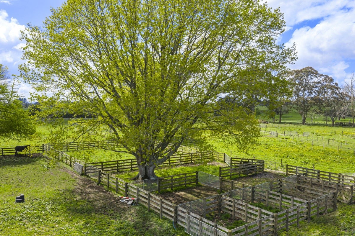 1/26 Goile Road, Ngahinapouri, Hamilton - Carousel 2