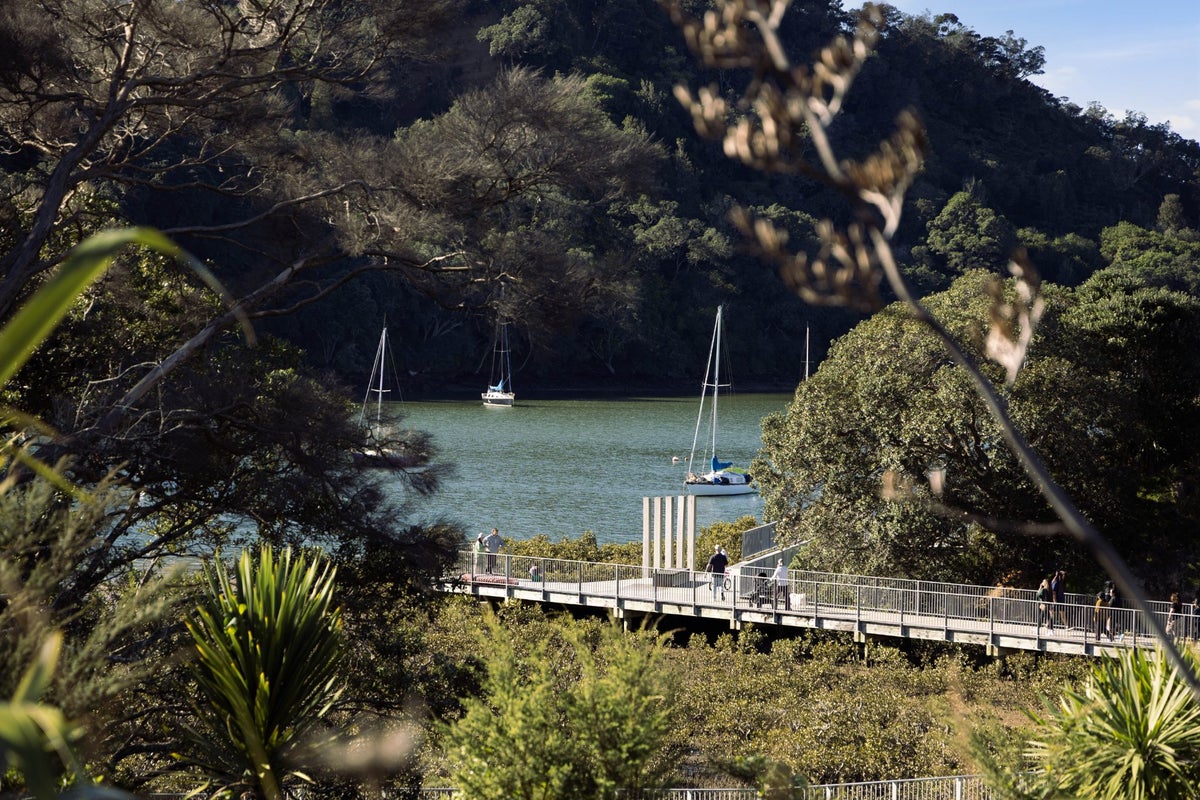 6 Mayfly Lane, Hobsonville, Auckland - Carousel 25