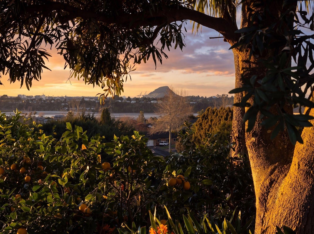 18 Vanderbilt Place, Welcome Bay, Tauranga - Carousel 1