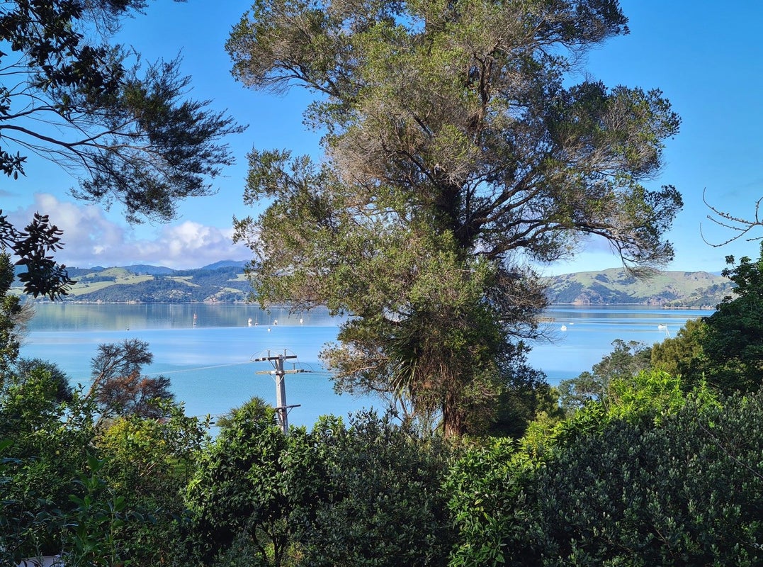 498 Wyuna Bay Road, Wyuna Bay, Coromandel - Carousel 1