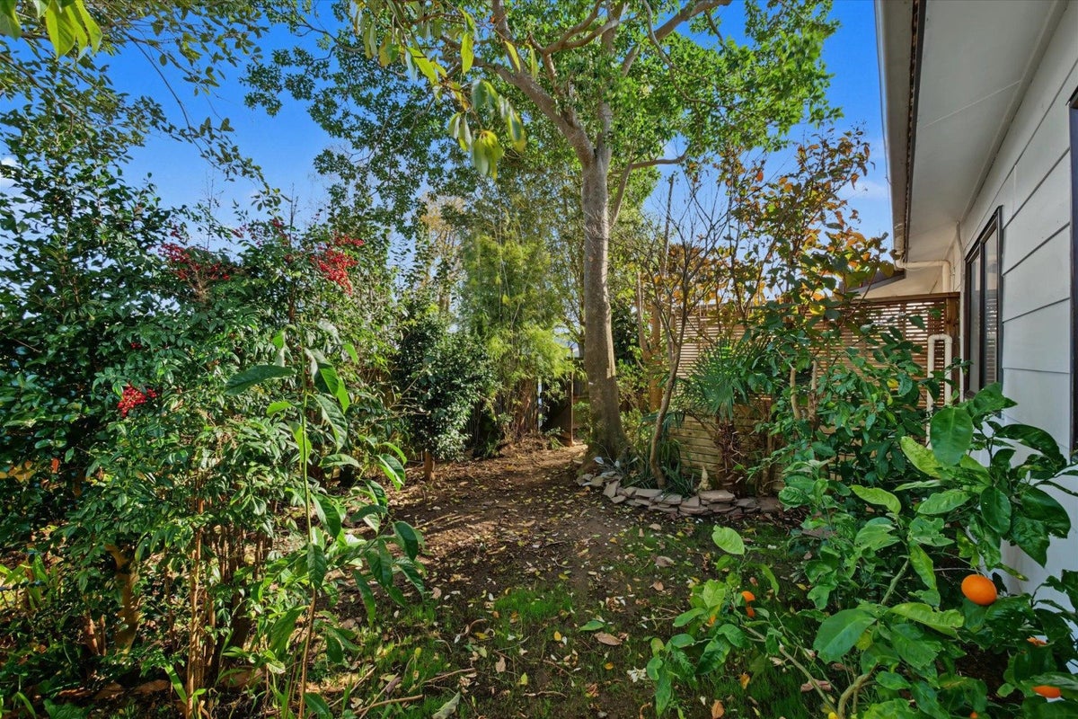 6 College Place, Poike, Tauranga - Carousel 15