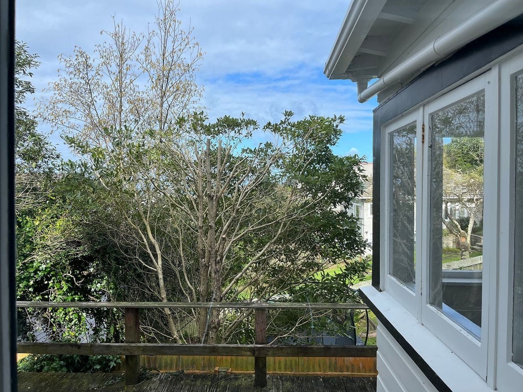 17 Rakau Road, Hataitai, Wellington - Carousel 19
