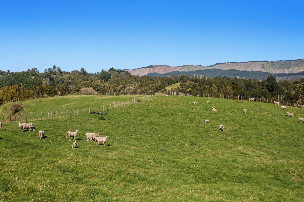 247B Stanley Road, Wainui, Whakatane - Carousel 31