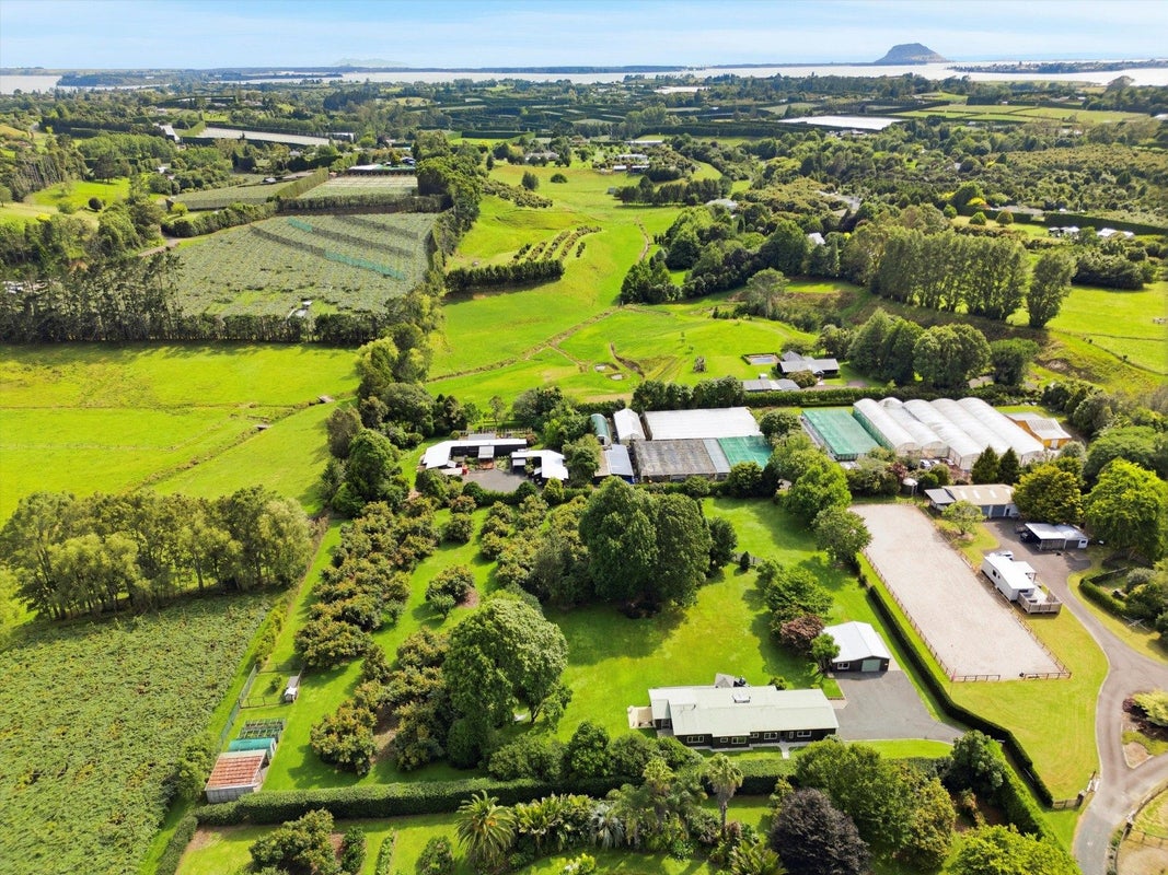 52E Loop Road, Minden, Tauranga - Carousel 45