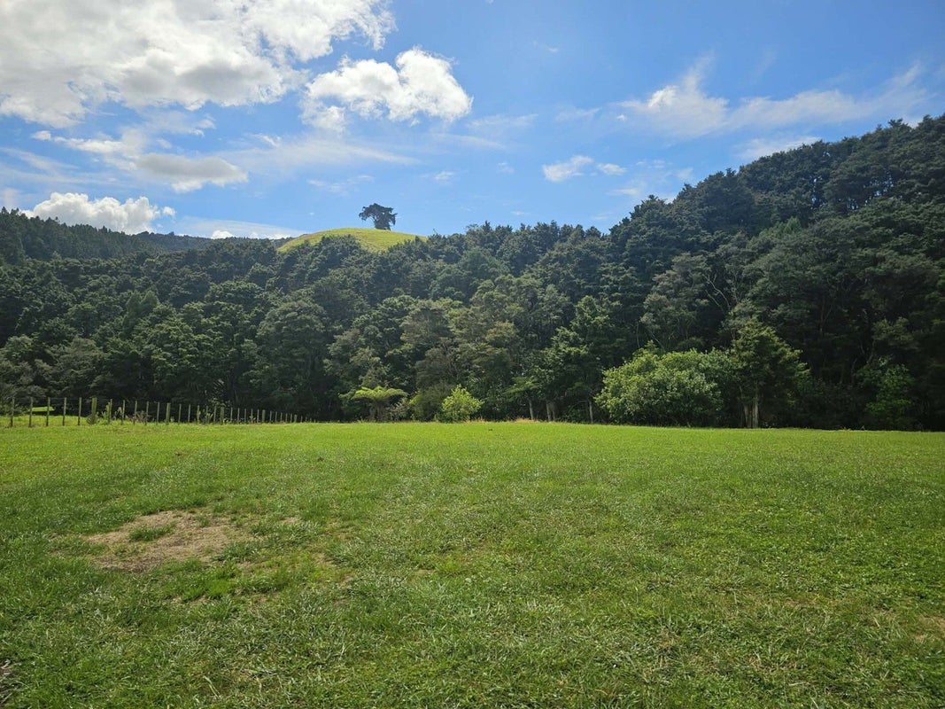 Lot 2, 675 Gorge Road, Maungaturoto, Kaipara, Northland - Carousel 33