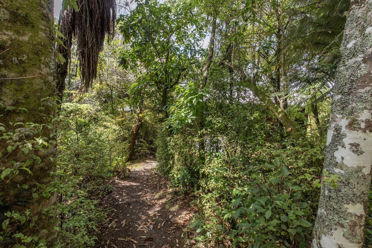 33 Hauraki Terrace, Pukawa Bay, Turangi - Carousel 2
