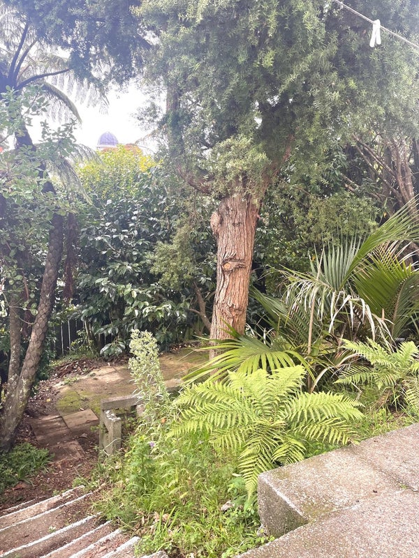 313A Adelaide Road, Newtown, Wellington, Wellington - Carousel 11
