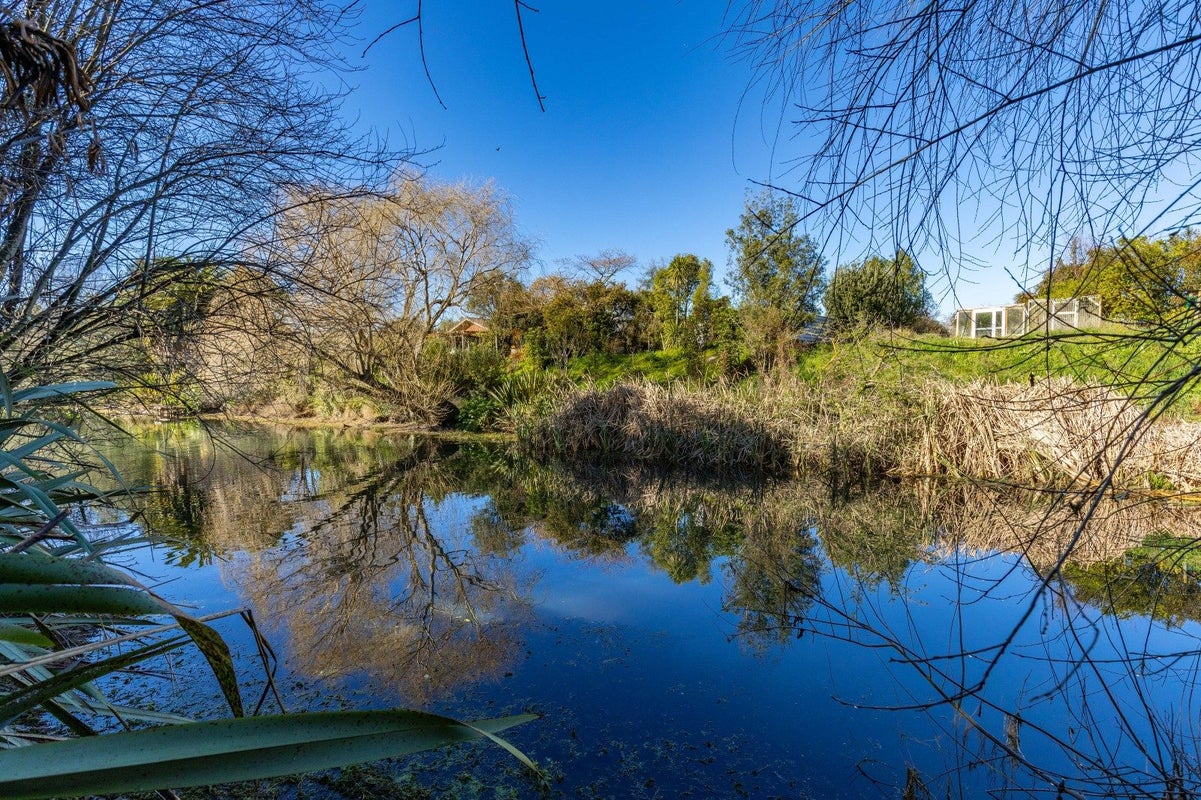 51 Elizabeth Street, Riversdale, Blenheim - Carousel 25