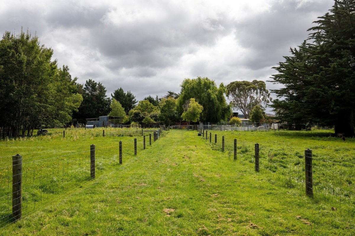 657 Domett Road, Domett, Cheviot - Carousel 2