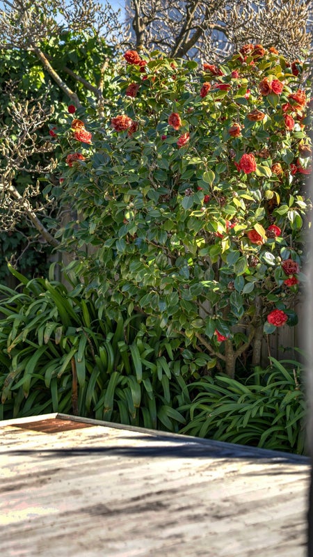 2/5 Peters Lane, Spreydon, Christchurch - Carousel 19