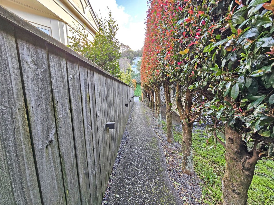 223A Ohiro Road , Brooklyn, Wellington, Wellington - Carousel 11