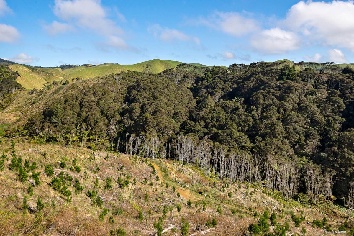 0 Waikaretu Valley Road, Glen Murray, Onewhero - Carousel 1