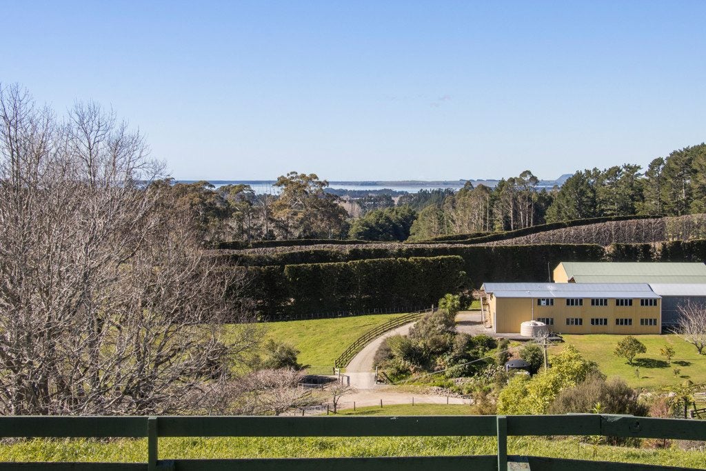 319 Busby Road, Tahawai, Katikati - Carousel 29