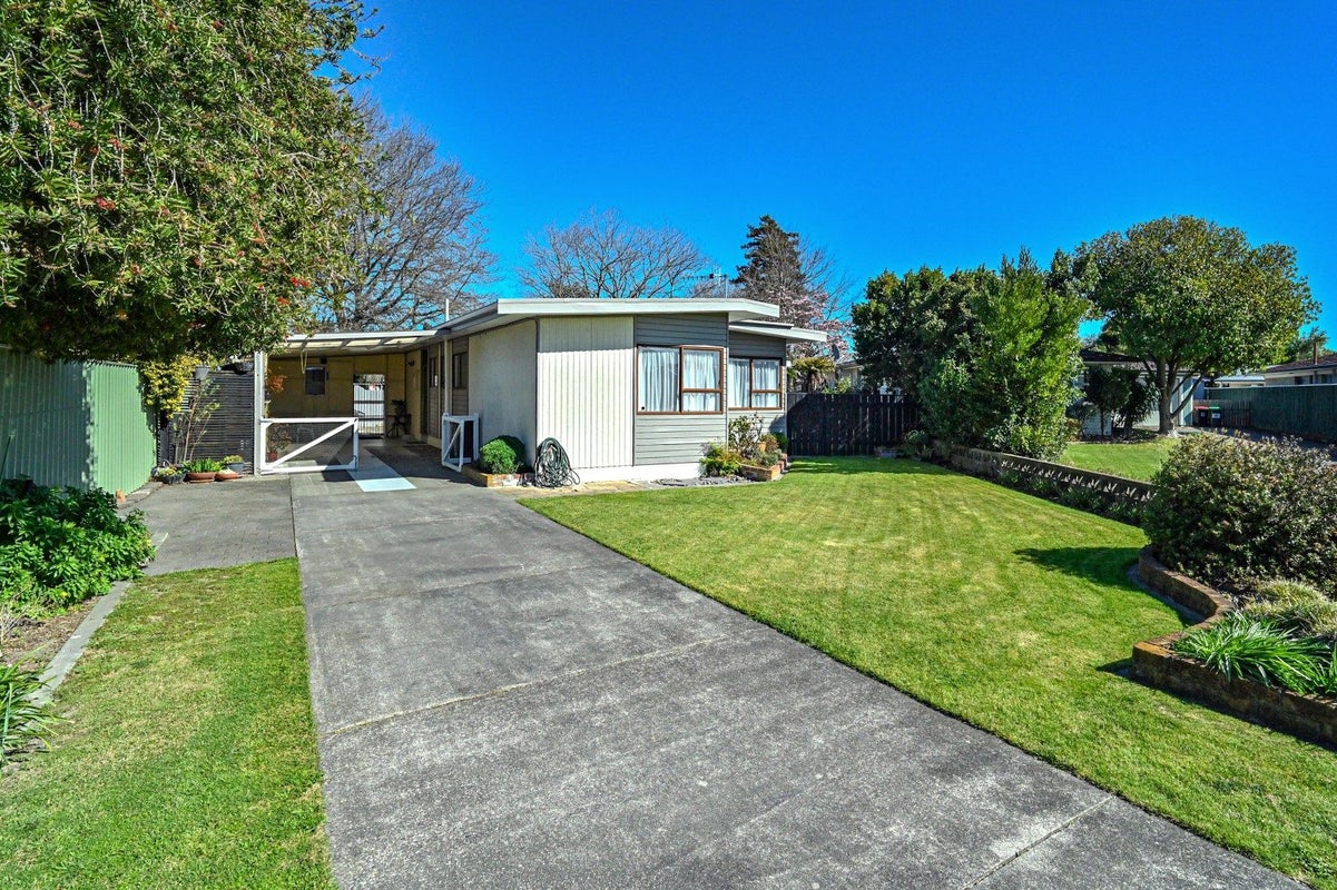 505 Poplar Place, Akina, Hastings - Carousel 18
