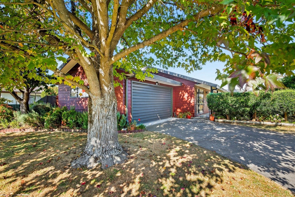 601 Beech Road, Akina, Hastings - Carousel 1