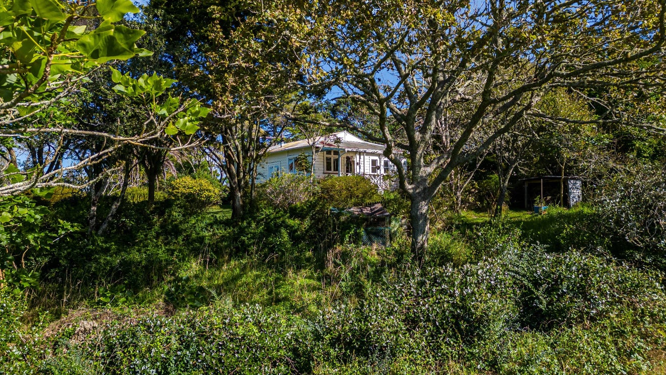 78 Nixon Road, Henderson - Carousel 23