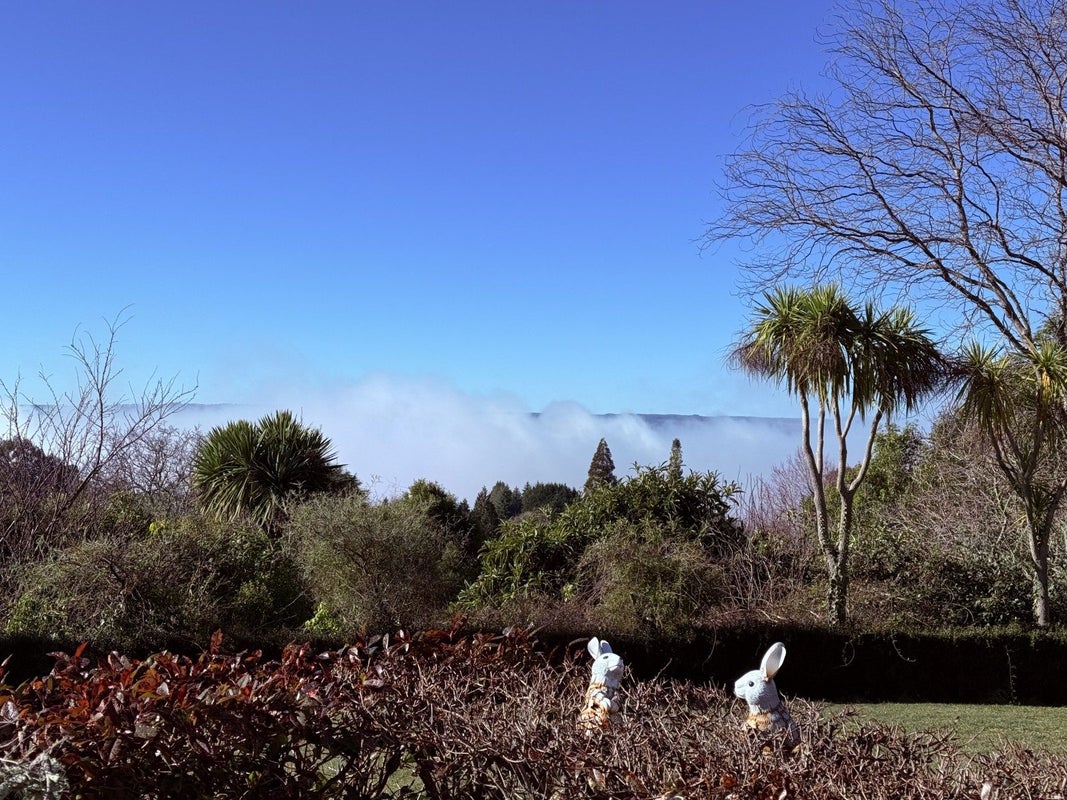 14 Glen Mohr, Acacia Bay, Taupo - Carousel 36