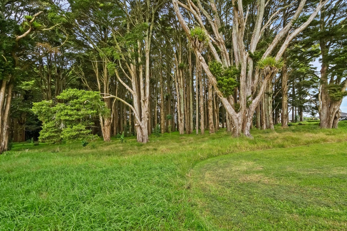 23 Maru Lane, Kamo, Whangarei - Carousel 33