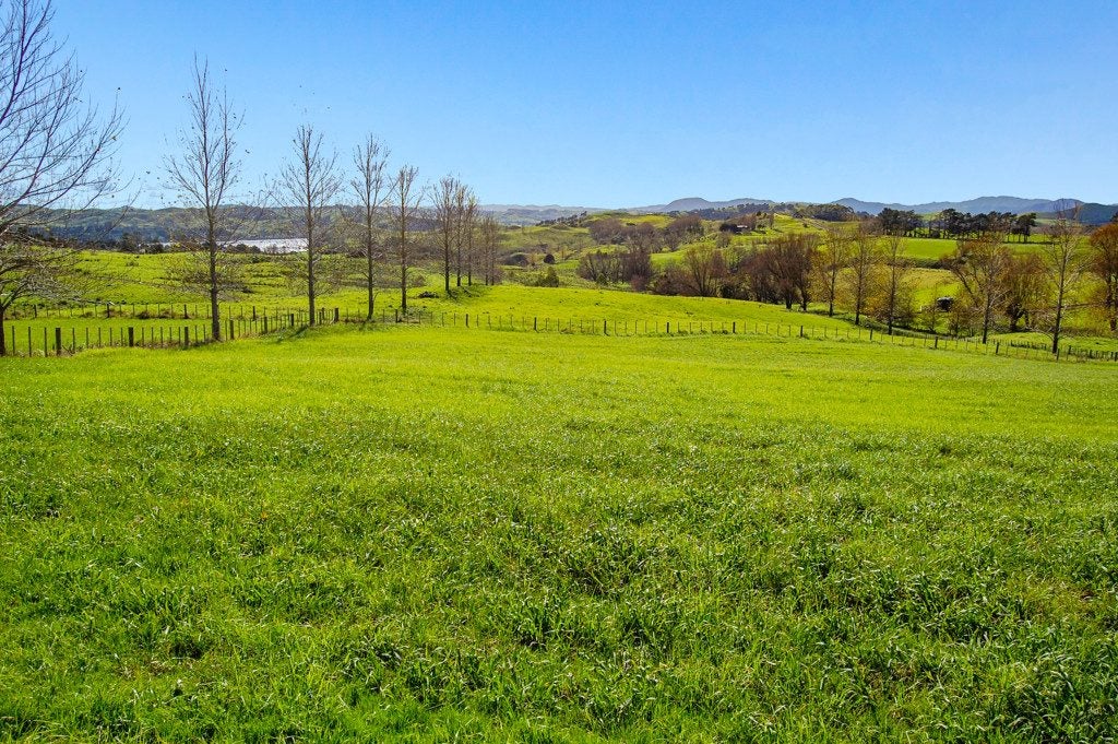 54 62 & 72 Rangiora Road, Kaiwaka, Kaipara, Northland - Carousel 2