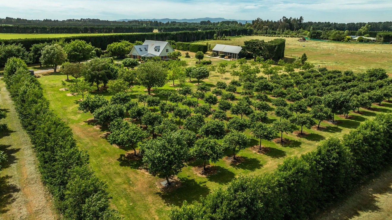 973 Hoskyns Road, Christchurch - Carousel 24