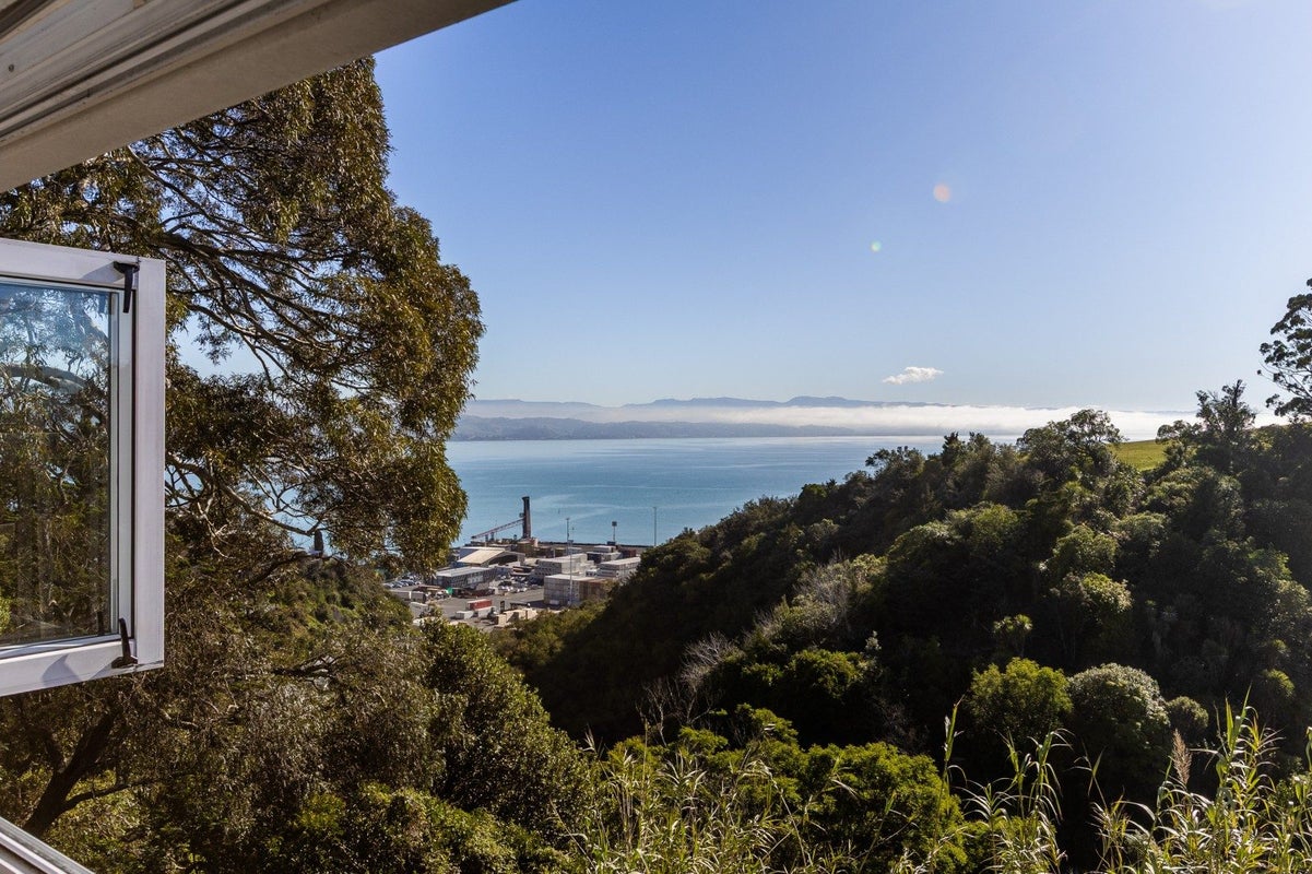 2/3 Lighthouse Road, BLUFF HILL, NAPIER - Carousel 2