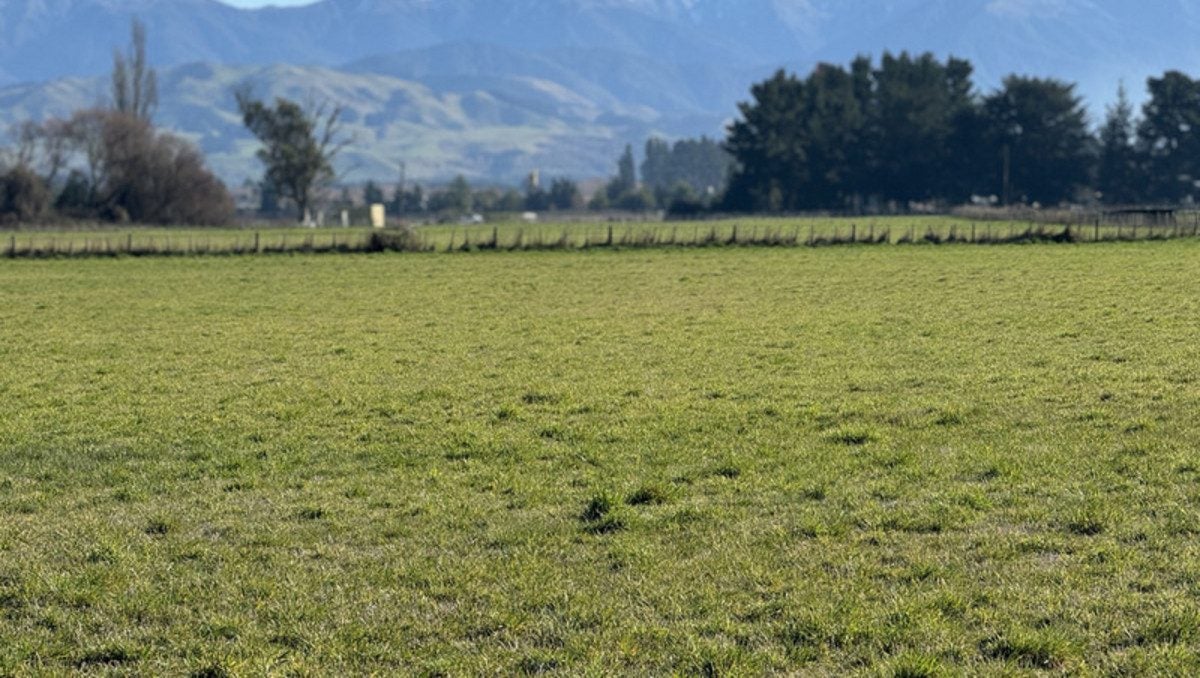 250 South Road, Solway, Masterton - Carousel 2