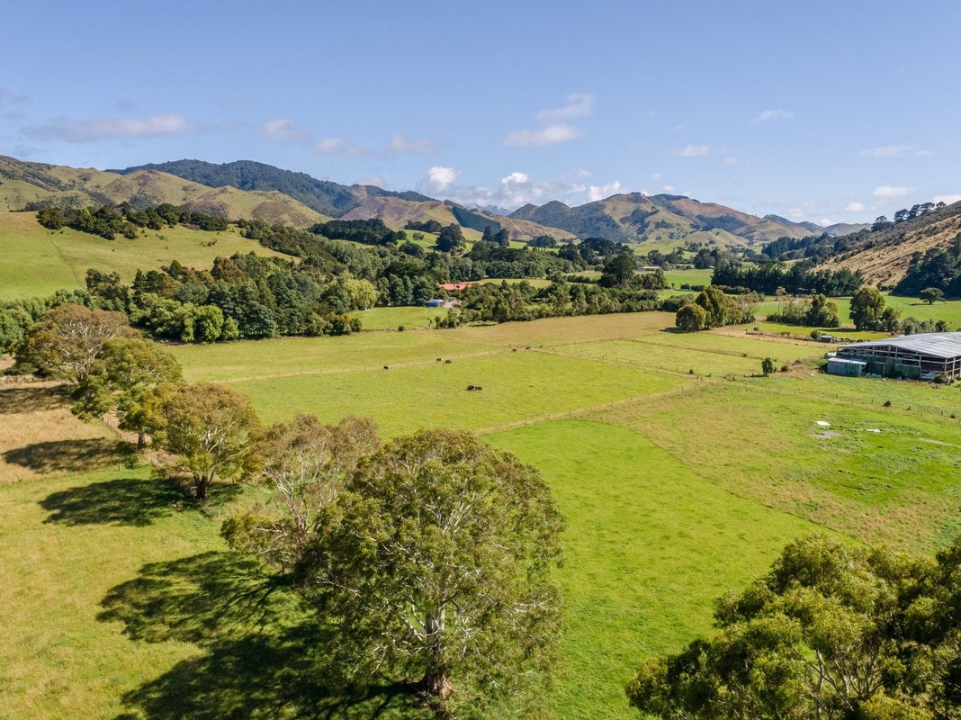 89 Hinau Gully Road, Carrington - Carousel 1