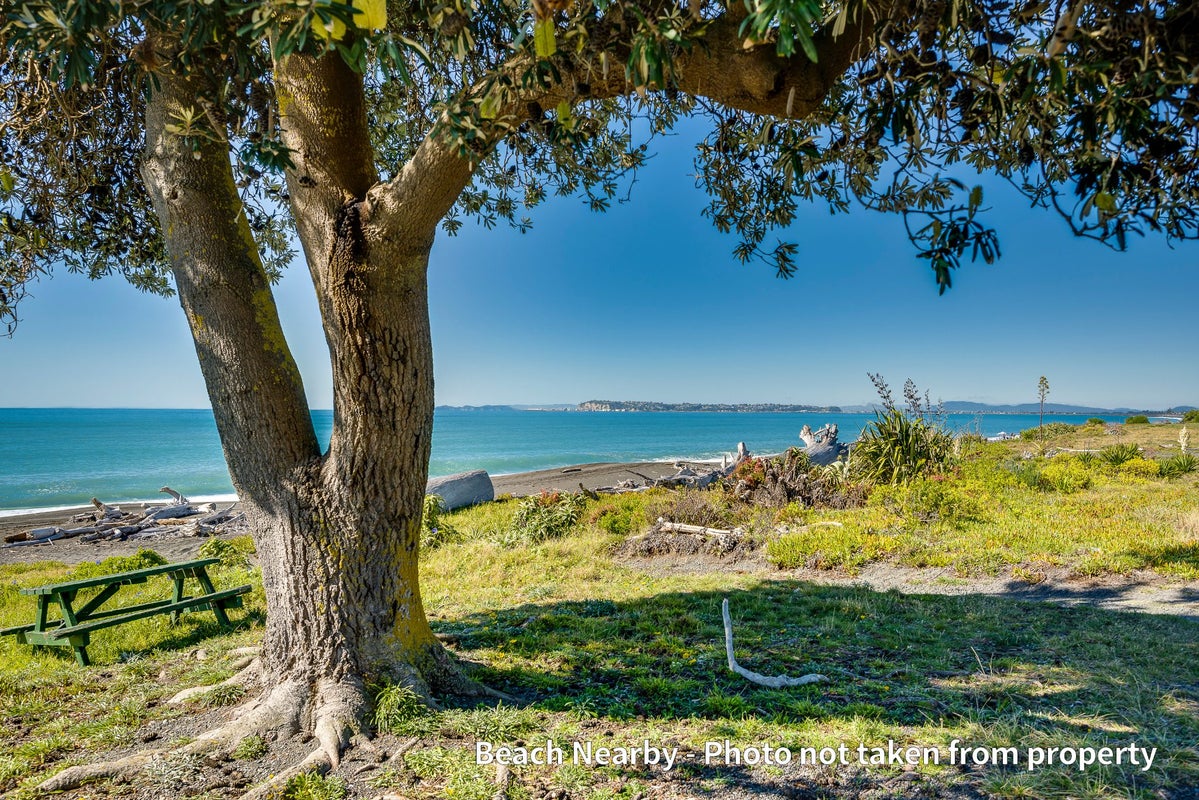 8 Thurley Place, Bay View, Napier - Carousel 20